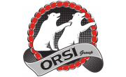 Orsi