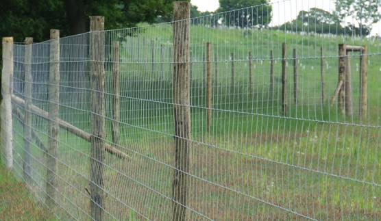 Tornado wire Deer-fencing-3-556x323