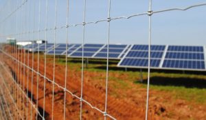 Tornado wire Solar-farm-fencing-5-556x323