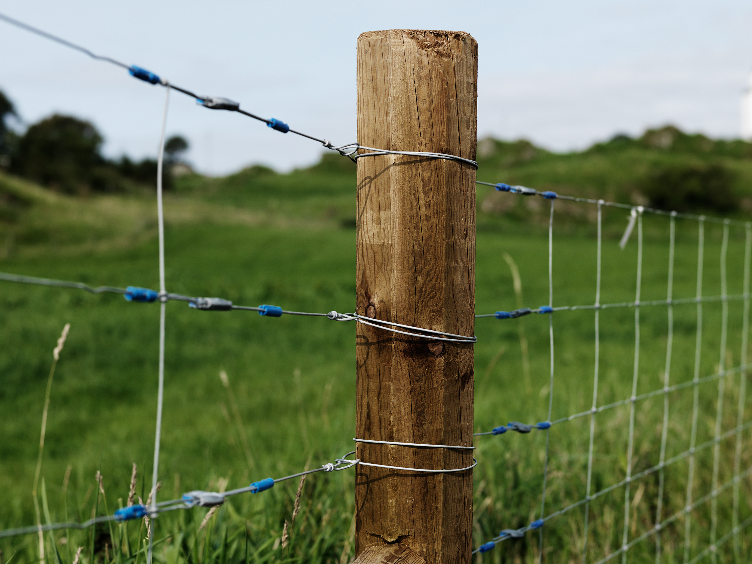 Octopost for farmers - creosoted fencing post with 25 year guarantee (7)
